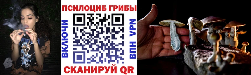 Псилоцибиновые грибы Psilocybine cubensis  как найти закладки  Среднеколымск 